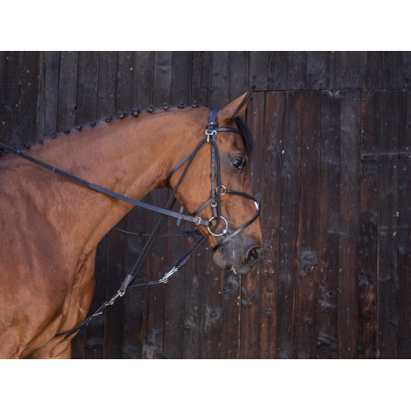 Katrolblok Riding World