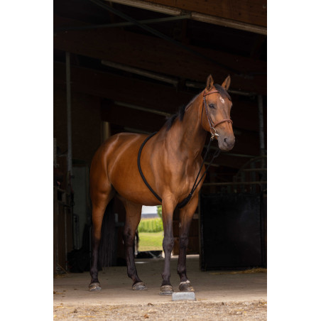 Norton zachte hulpteugel voor extensie