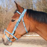 Bridon Biotack® T de T