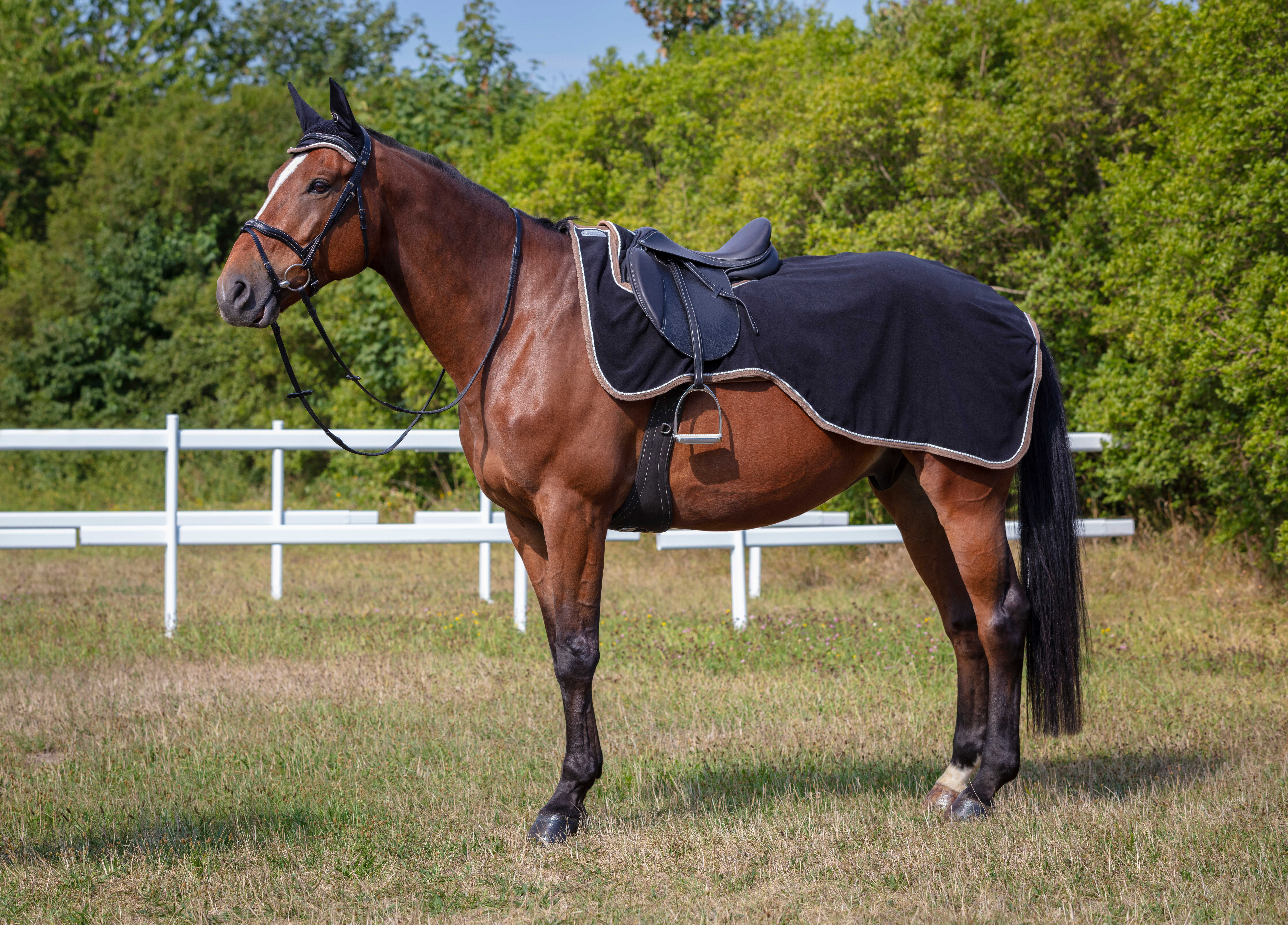 Zadeldeken Equithème Polyfun Zwart