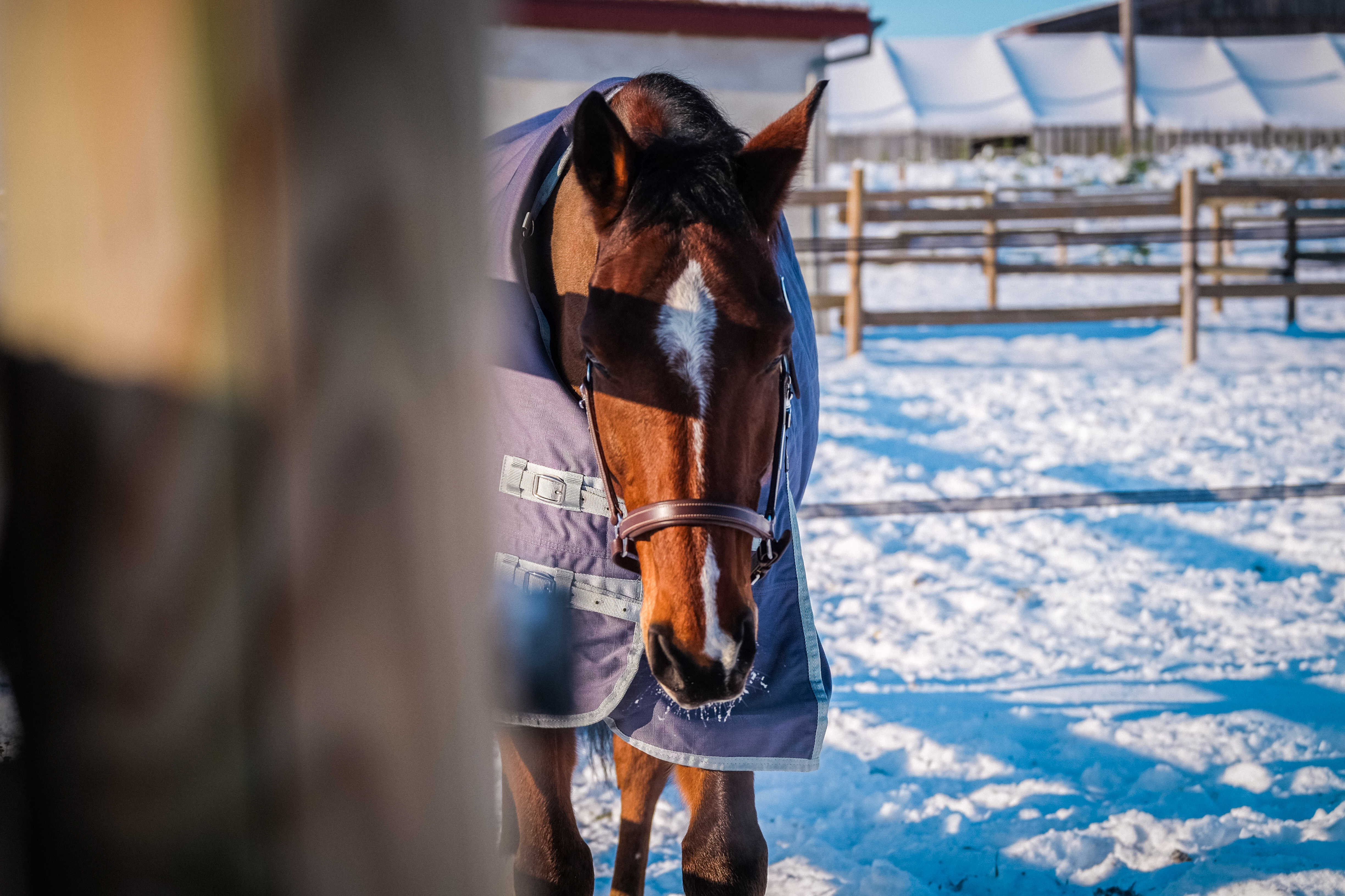 Couverture Equithème Tyrex 1200D recyclée Taupe Marron