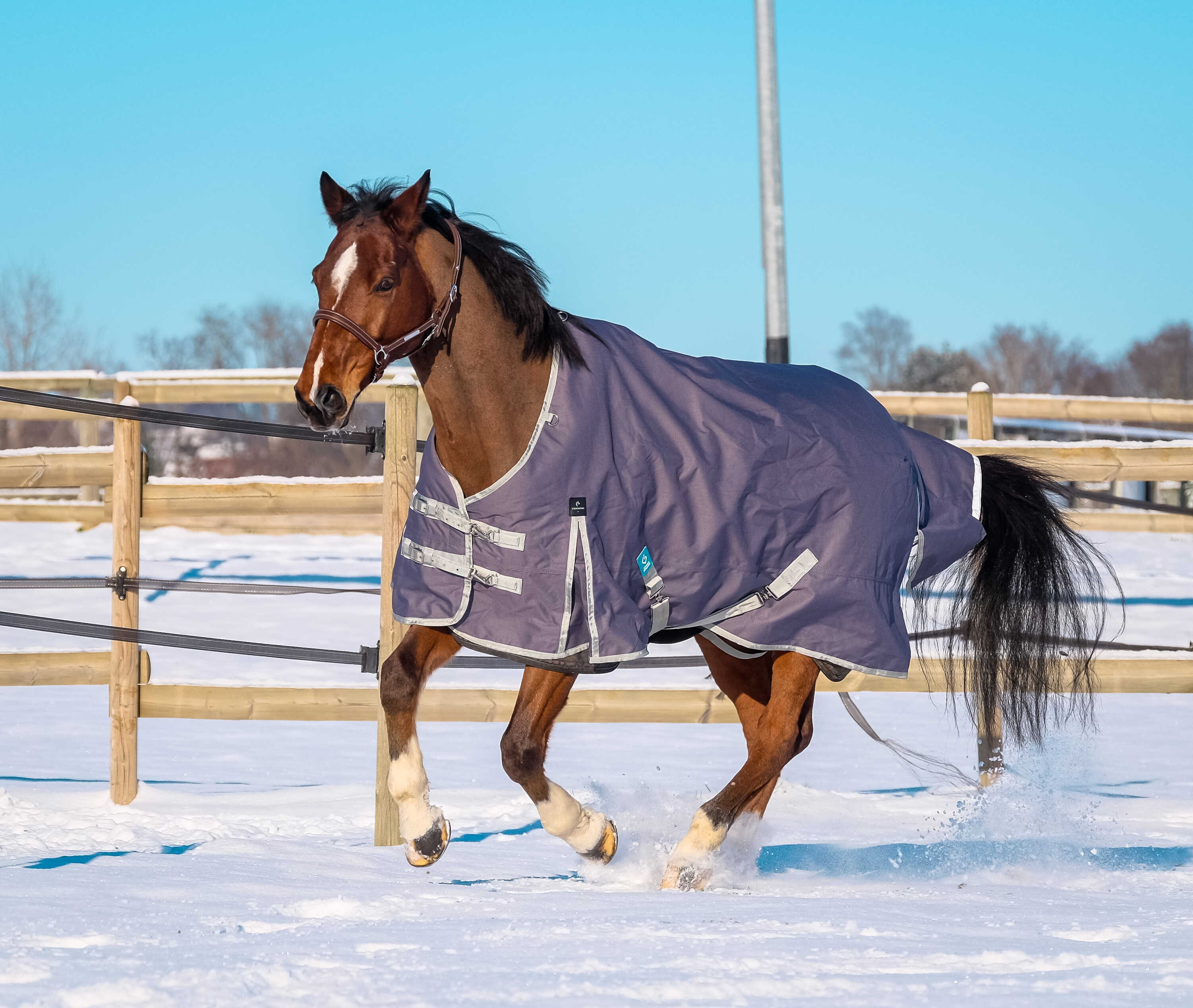 Couverture Equithème Tyrex 1200D recyclée Taupe Marron