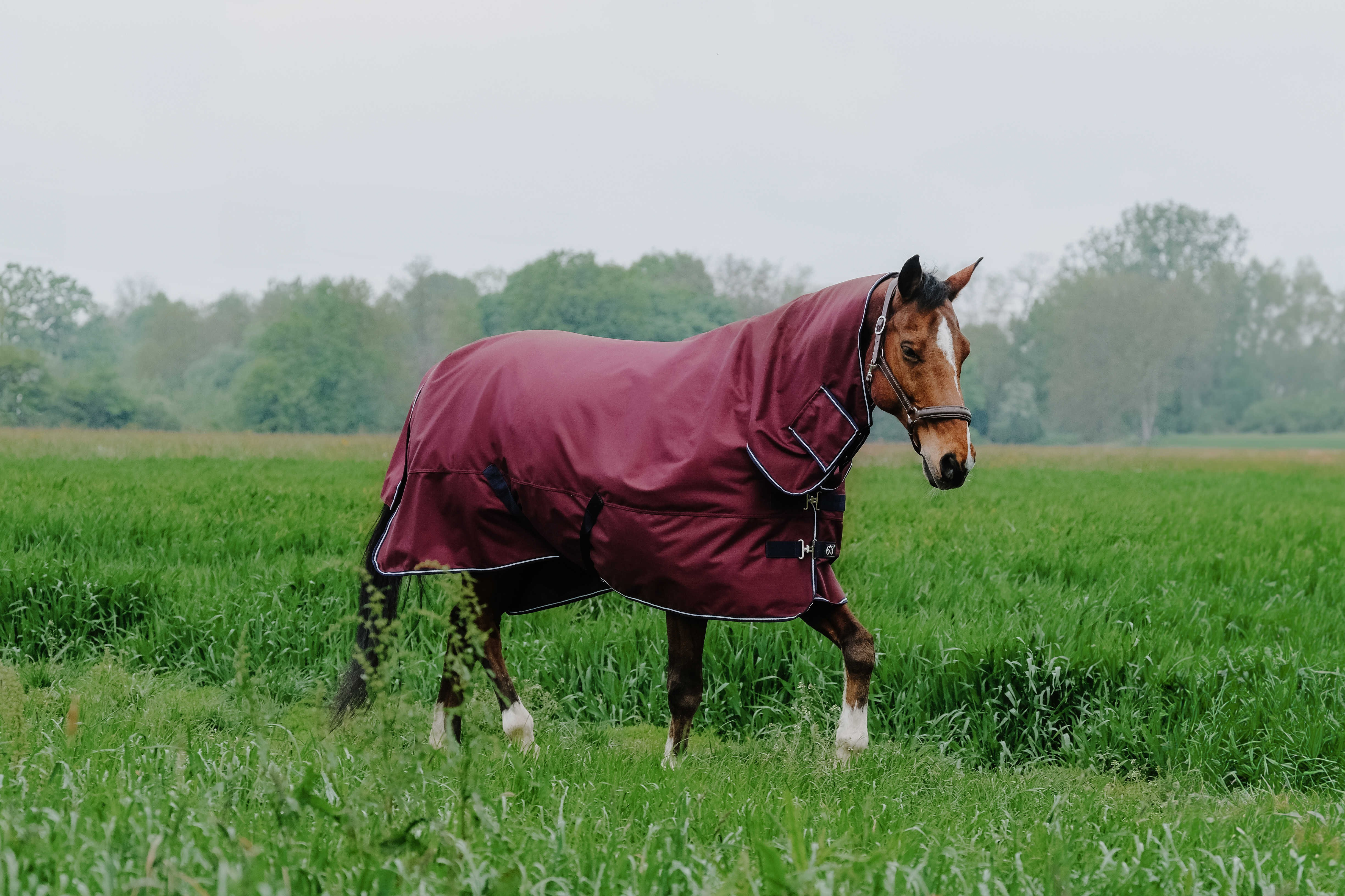 Equithème TYREX 1200D Combo deken Bordeaux