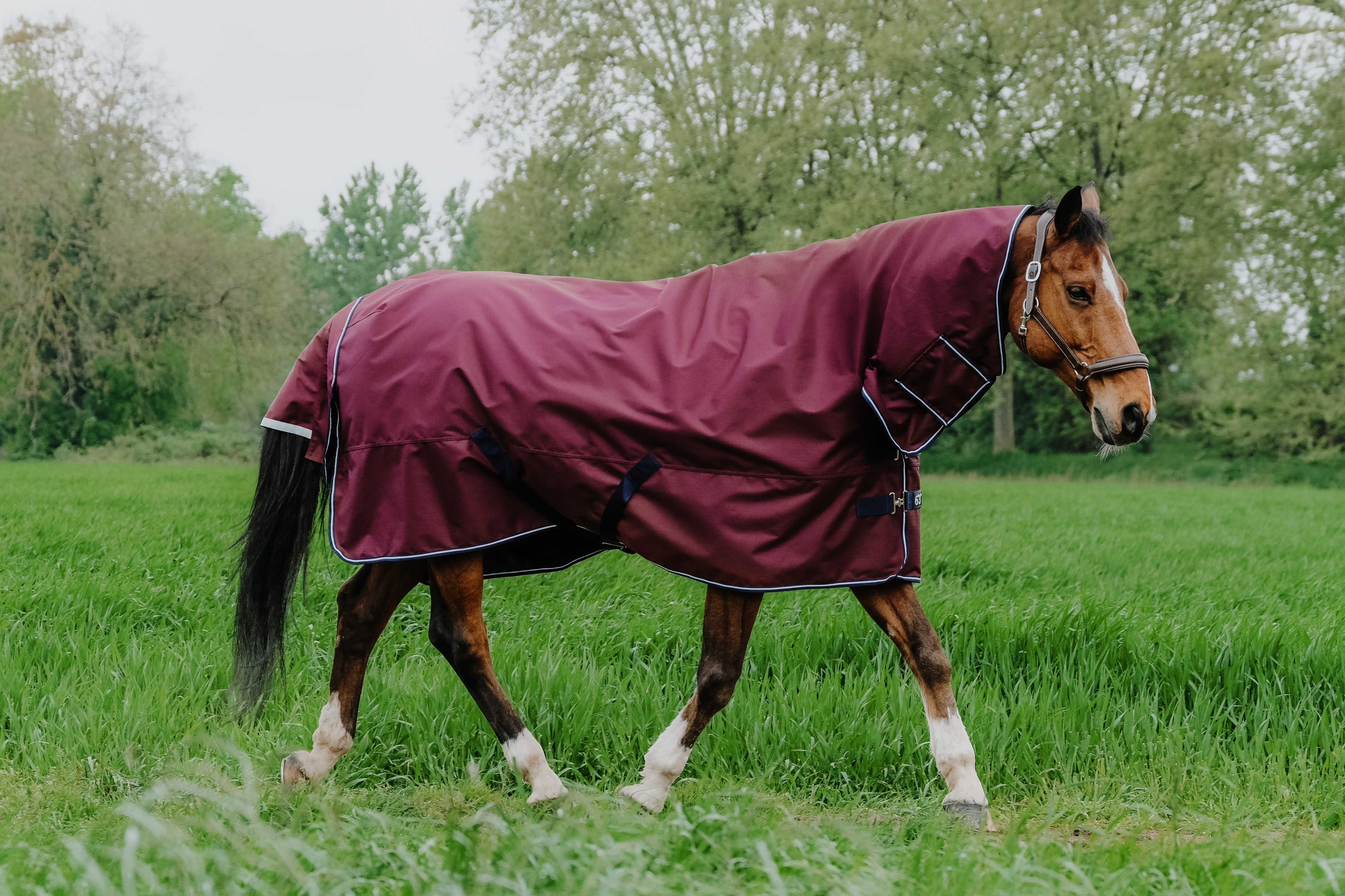 Equithème TYREX 1200D Combo deken Bordeaux