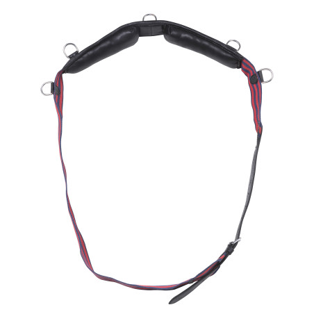 Singelriem Norton Club