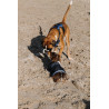Couverture pour chien Equithème Eco 600D - Marine