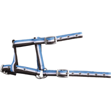 Verstelbaar veulenhalster