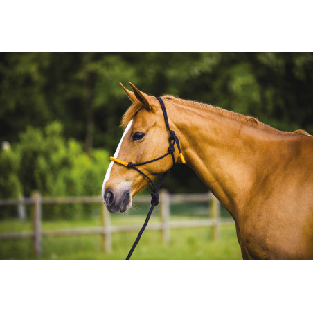 ETHOLOGISCHE HALSTER + FUN COLOUR LIJN