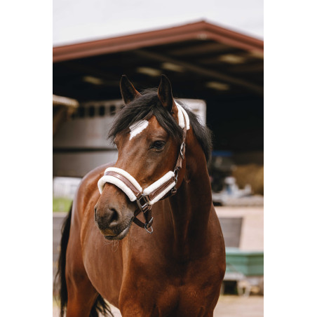 Nylon halster Equithème Fashion