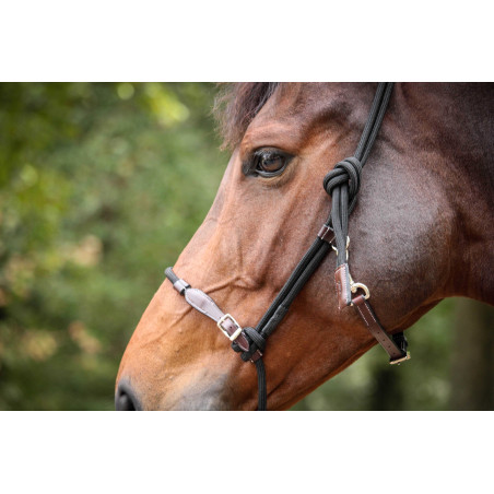 Halster Pénélope Ethologisch