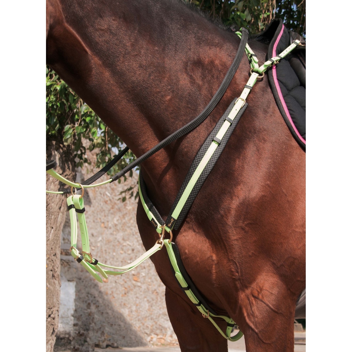 Collier de chasse Biotack T de T Vert tilleul