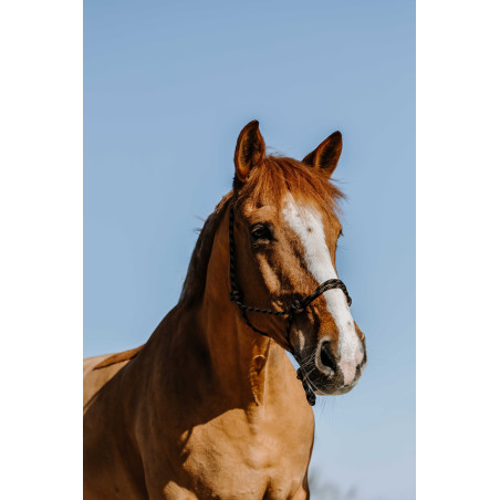 Ethologisch halster Westride Western