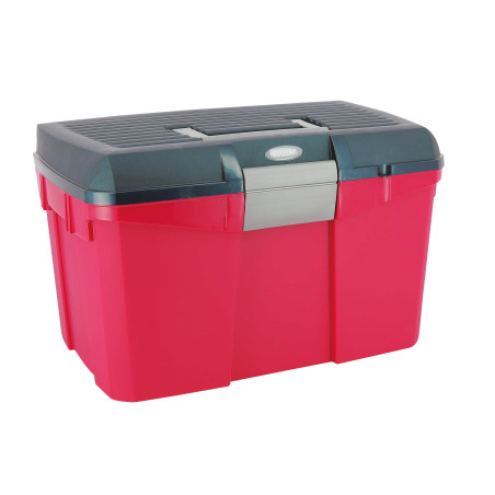 Tweegekleurde poetskist Hippo-Tonic