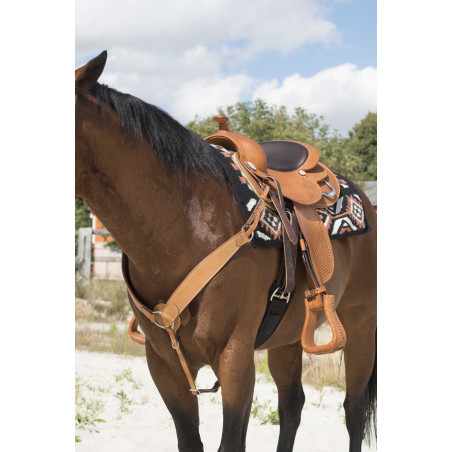 Collier de chasse Westride by Franck Perret Billy