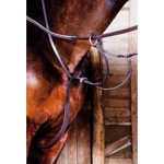 Martingale cuir T de T