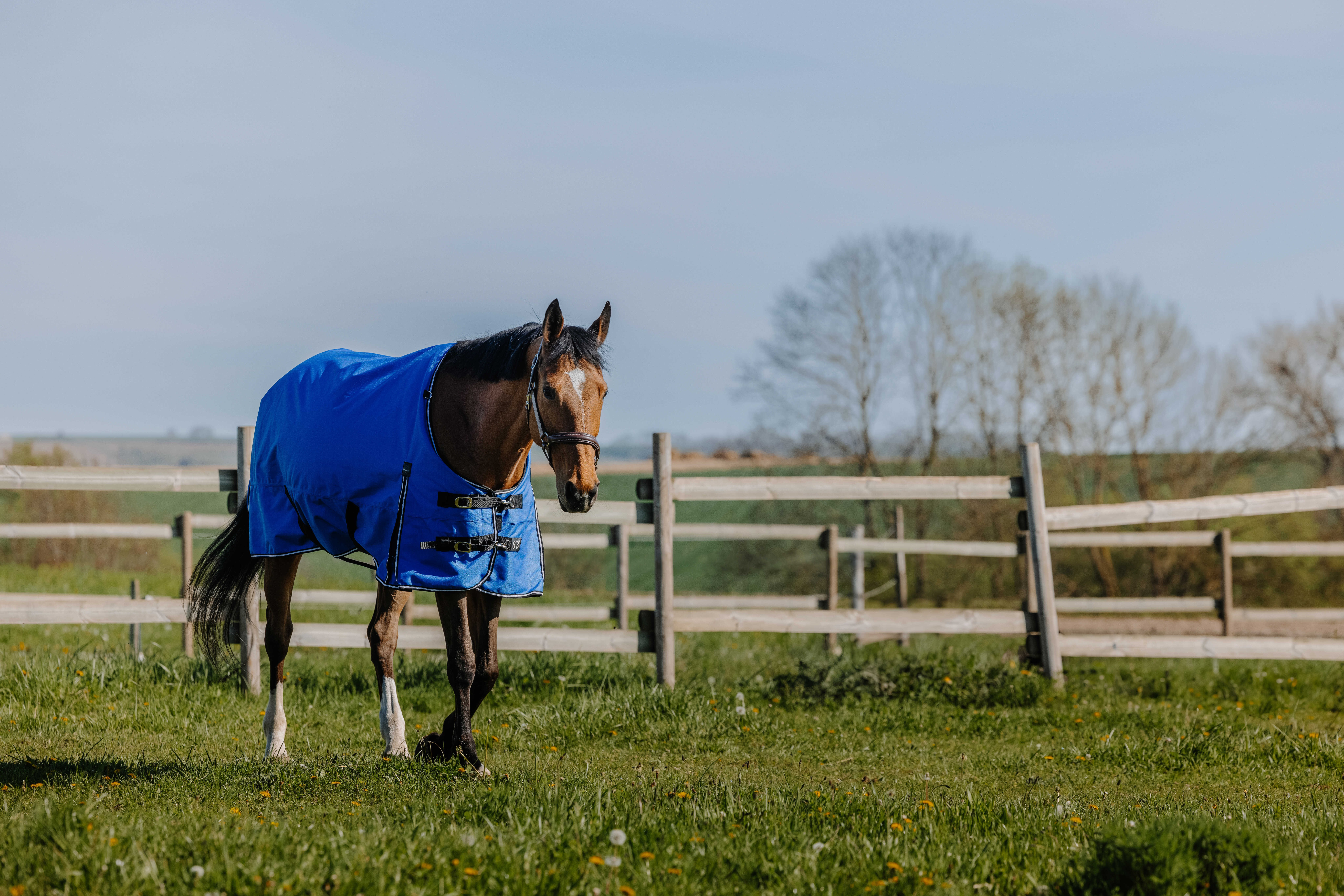 Equithème Tyrex Aisance 1200D deken Koningsblauw