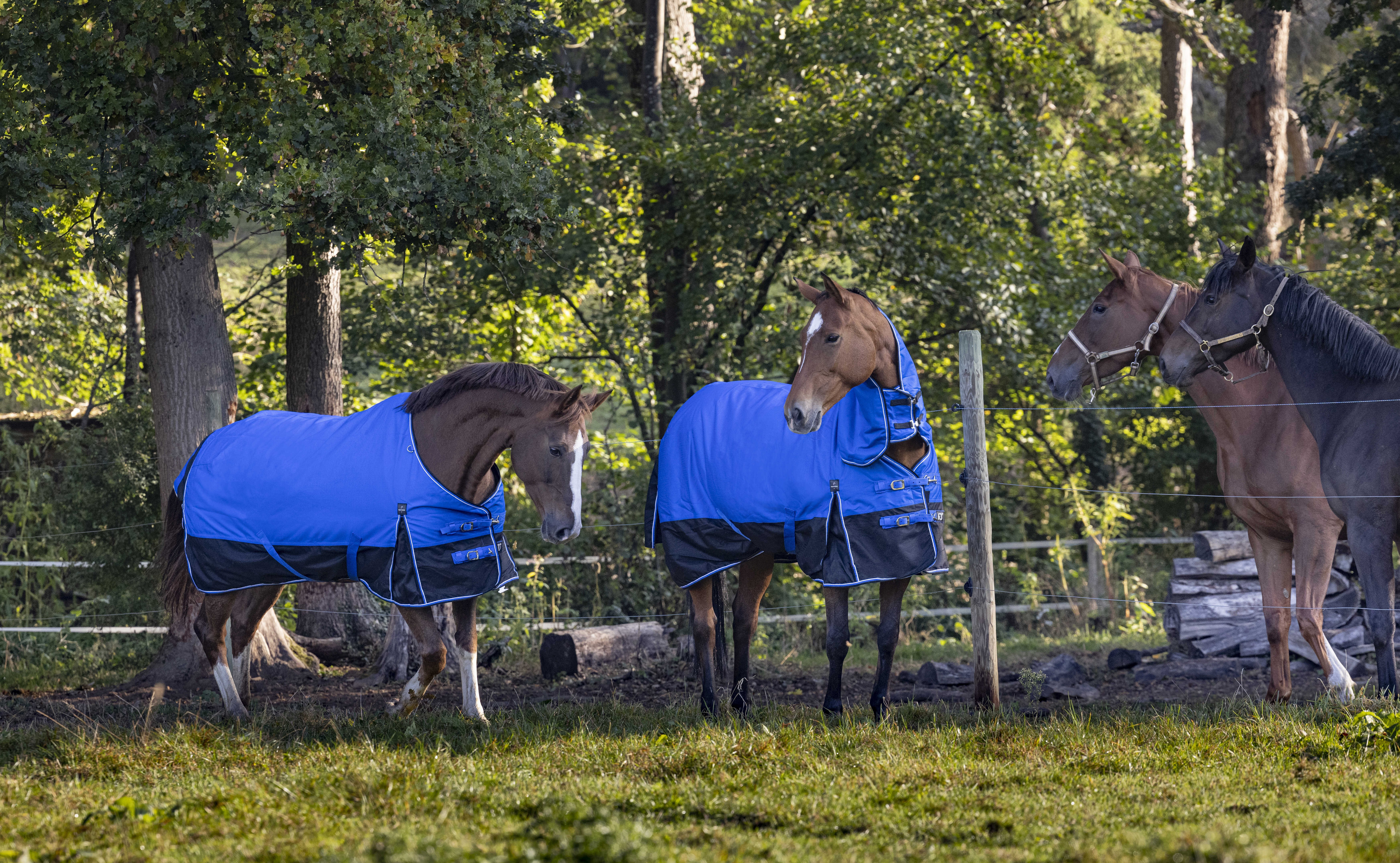 Couverture Equithème Tyrex 1200D Aisance Bleu / noir Couverture Equithème Tyrex 1200D Aisance Bleu / noir