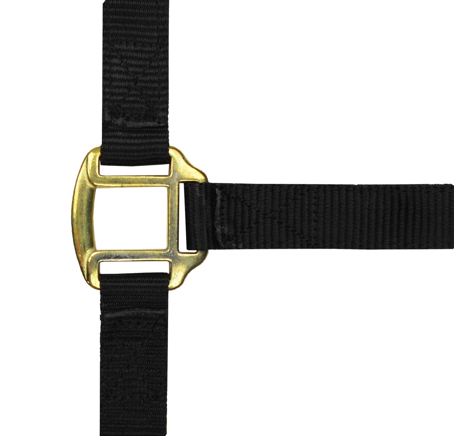 Licol nylon doublé cuir Norton Noir Licol nylon doublé cuir Norton Noir