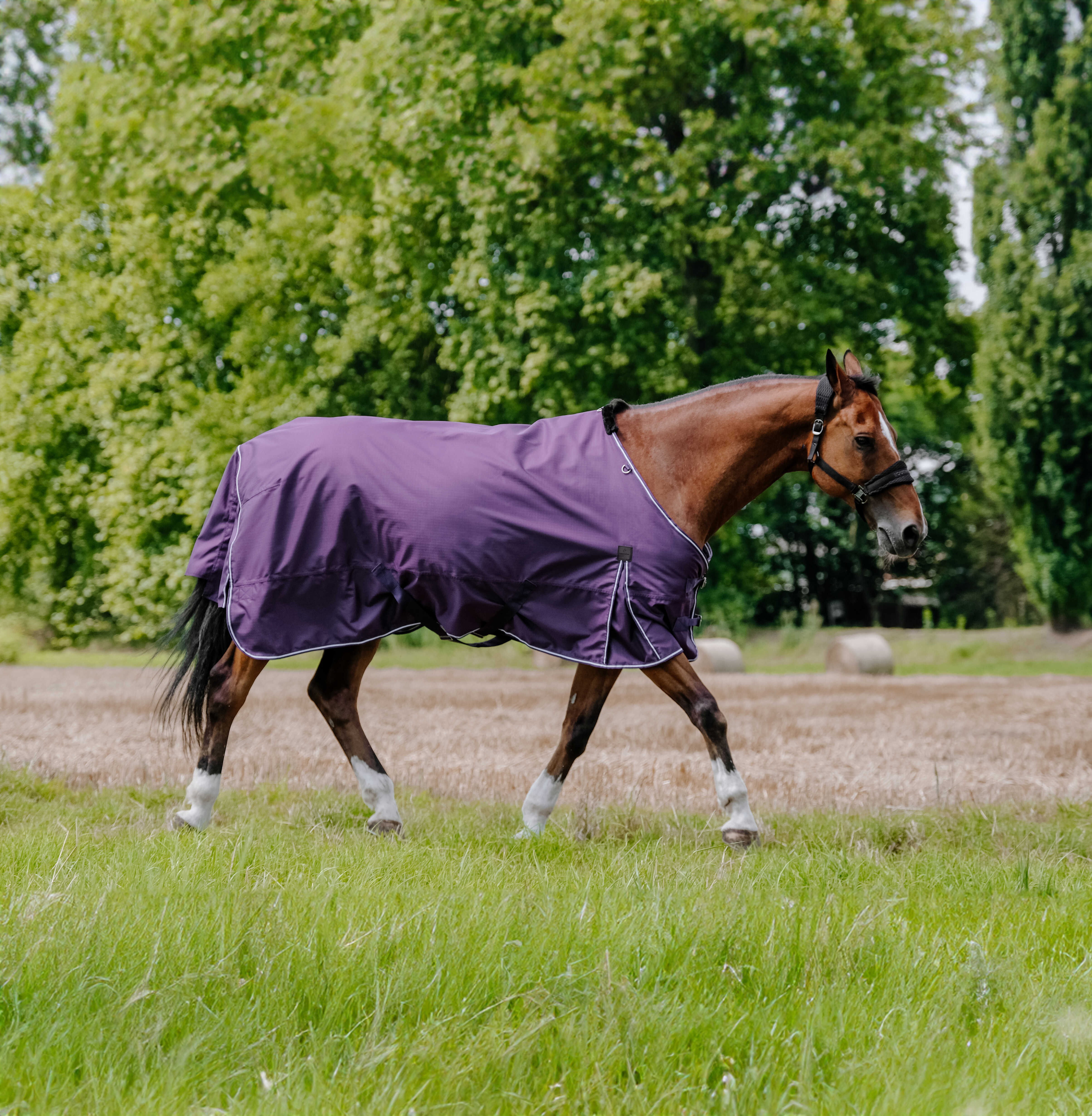 Couverture Equithème Tyrex Aisance 600D Prune Violet Couverture Equithème Tyrex Aisance 600D Prune Violet