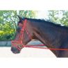 Trensenzaum Biotack® T de T - Rood
