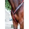 Jachtmartingaal Biotack T de T - Fuchsia
