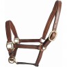 Licol foal en cuir T de T - Tabac