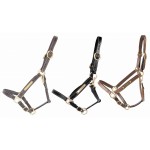 Licol cuir avec plaque à graver T de T