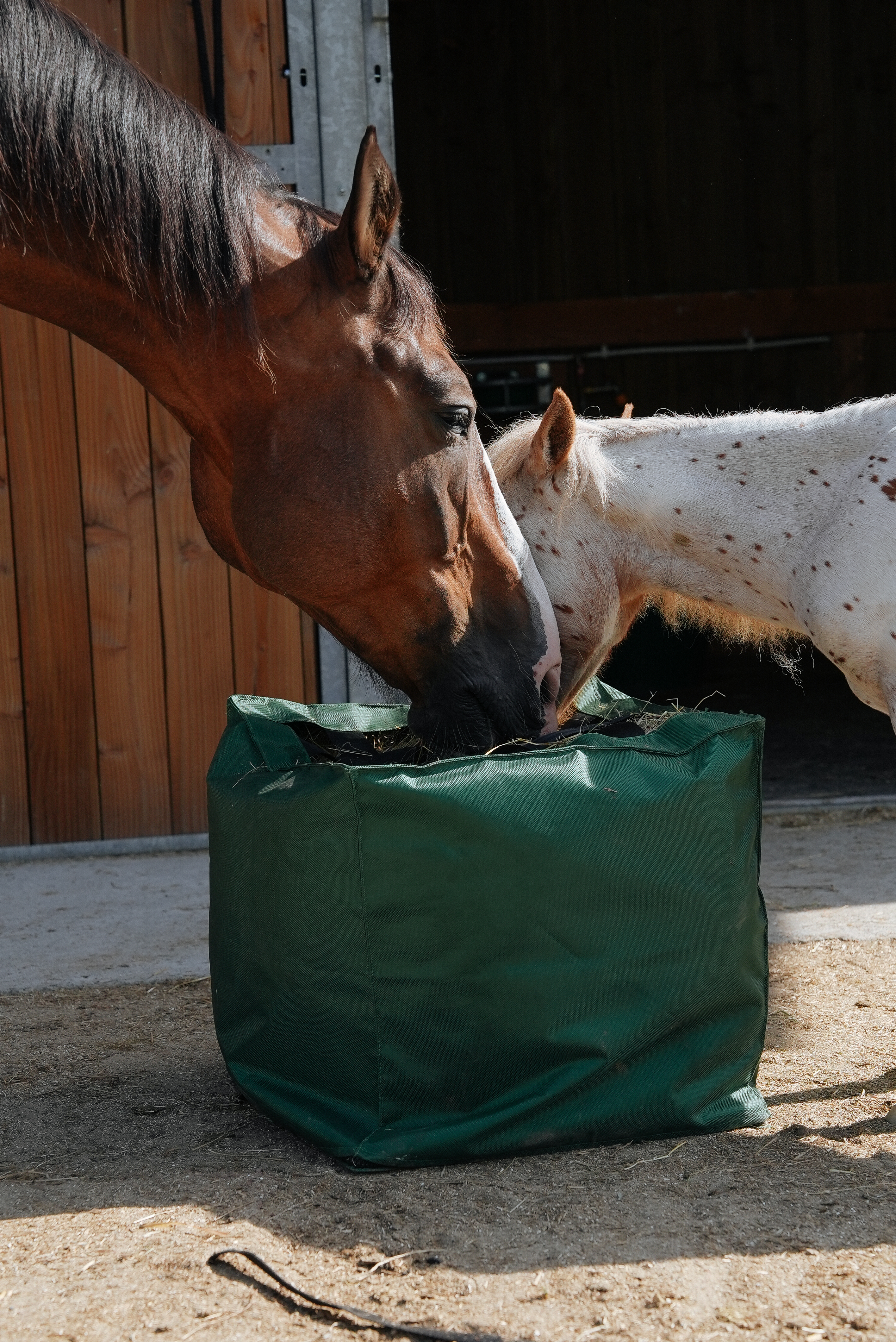 Natural'Kub Natural'Innov