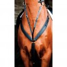 Collier de chasse Biotack T de T - Noir