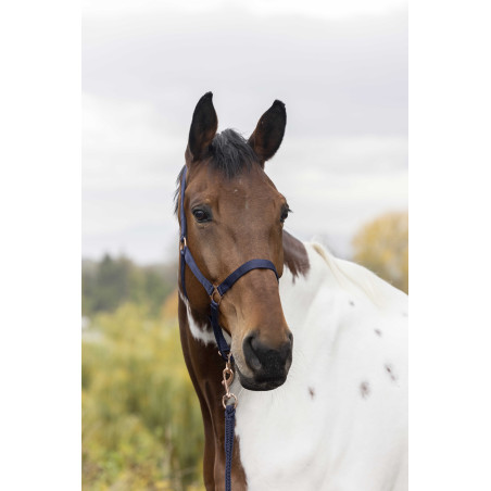 Halster + lijn Norton Rose gold