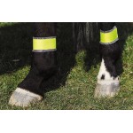 Reflecterende gele bandages voor achterbenen