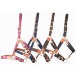 Licol en cuir et sangle T de T