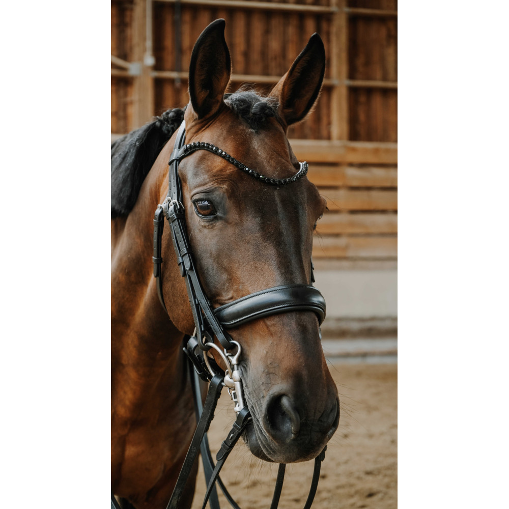 Bride \"Elite\" Eric Thomas - - Equipement équitation, cavalier