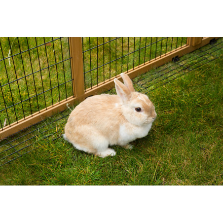 Enclos d’extérieur avec dispositif antifugue Kerbl Hobbyfarming