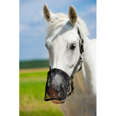 Protège naseaux maille anti-mouches