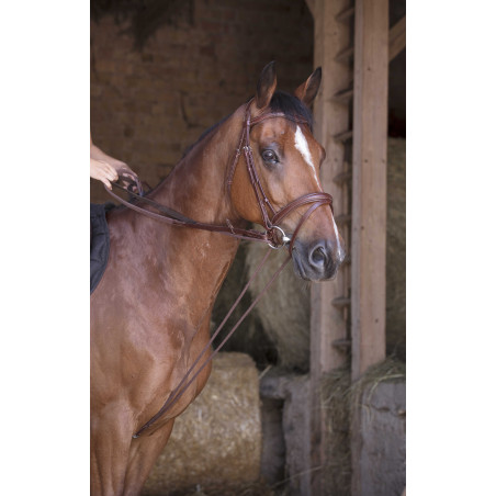 Duitse teugels leer / touw Norton Pro