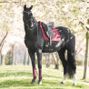 Imperial Riding Josie dressuurzadeldek - Vijg