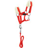 Mini-halster + leidtouw Pony Academy - Rood
