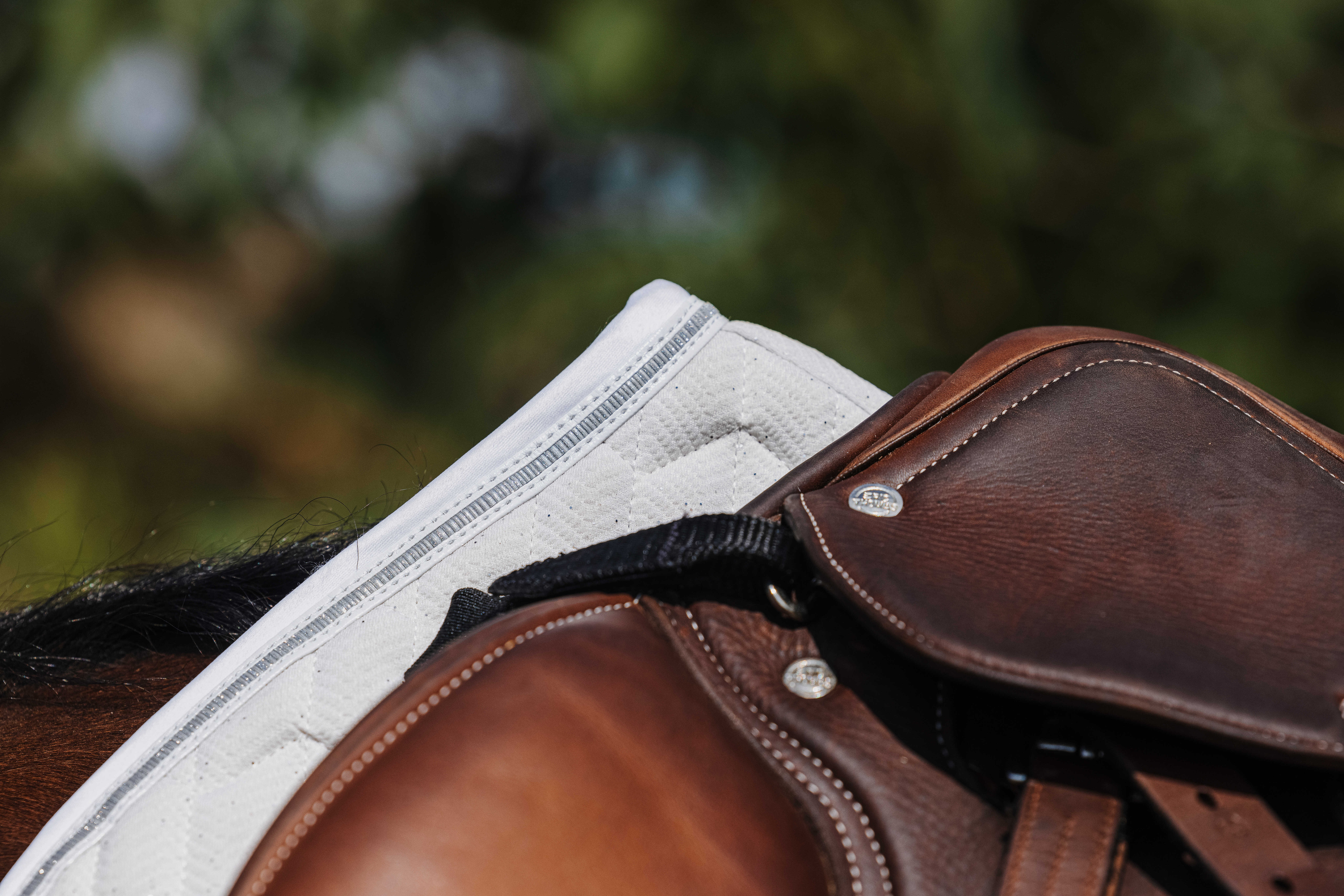 Zadelpad Equithème Eclat Wit