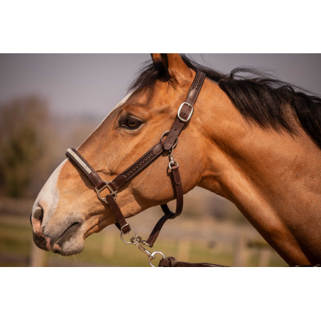 Halster Pénélope Harmonie