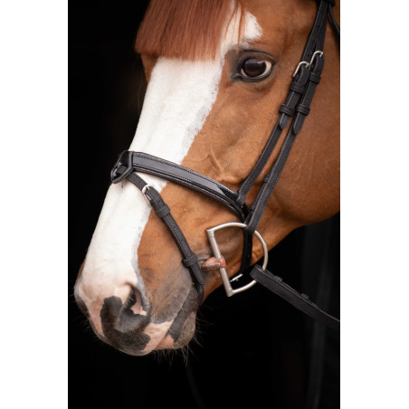 Birdon Oxford Prestatie Pénélope