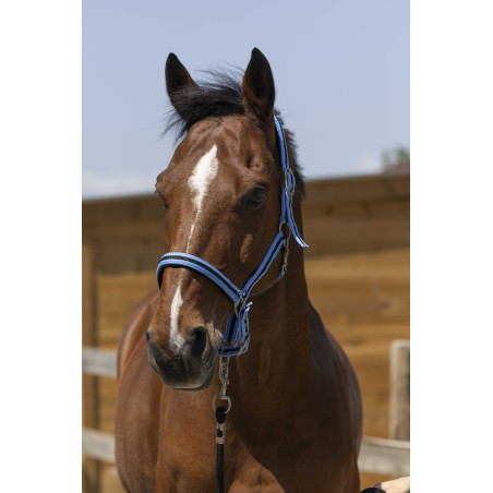 Halster Norton Satijn