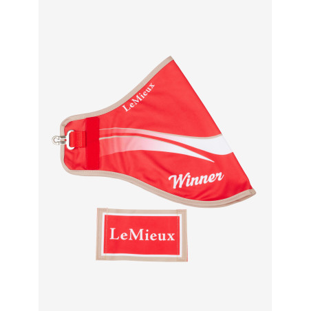 Couverture de vainqueur Hobby Horse LeMieux