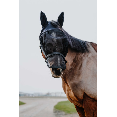 Licol + masque Equithème