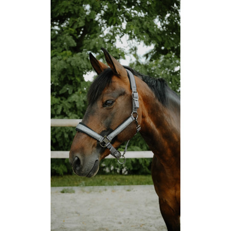 Licol Equithème Glowy