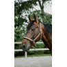 Halster Equithème Glowy - Beige / koper