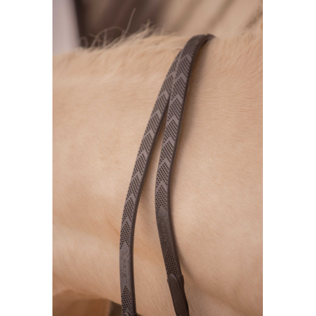 Rênes Pénélope Symphonie