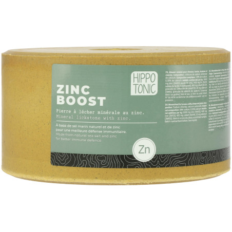 Zoutsteen Hippotonic Zinc boost