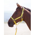 Topaz nylon halster Shires
