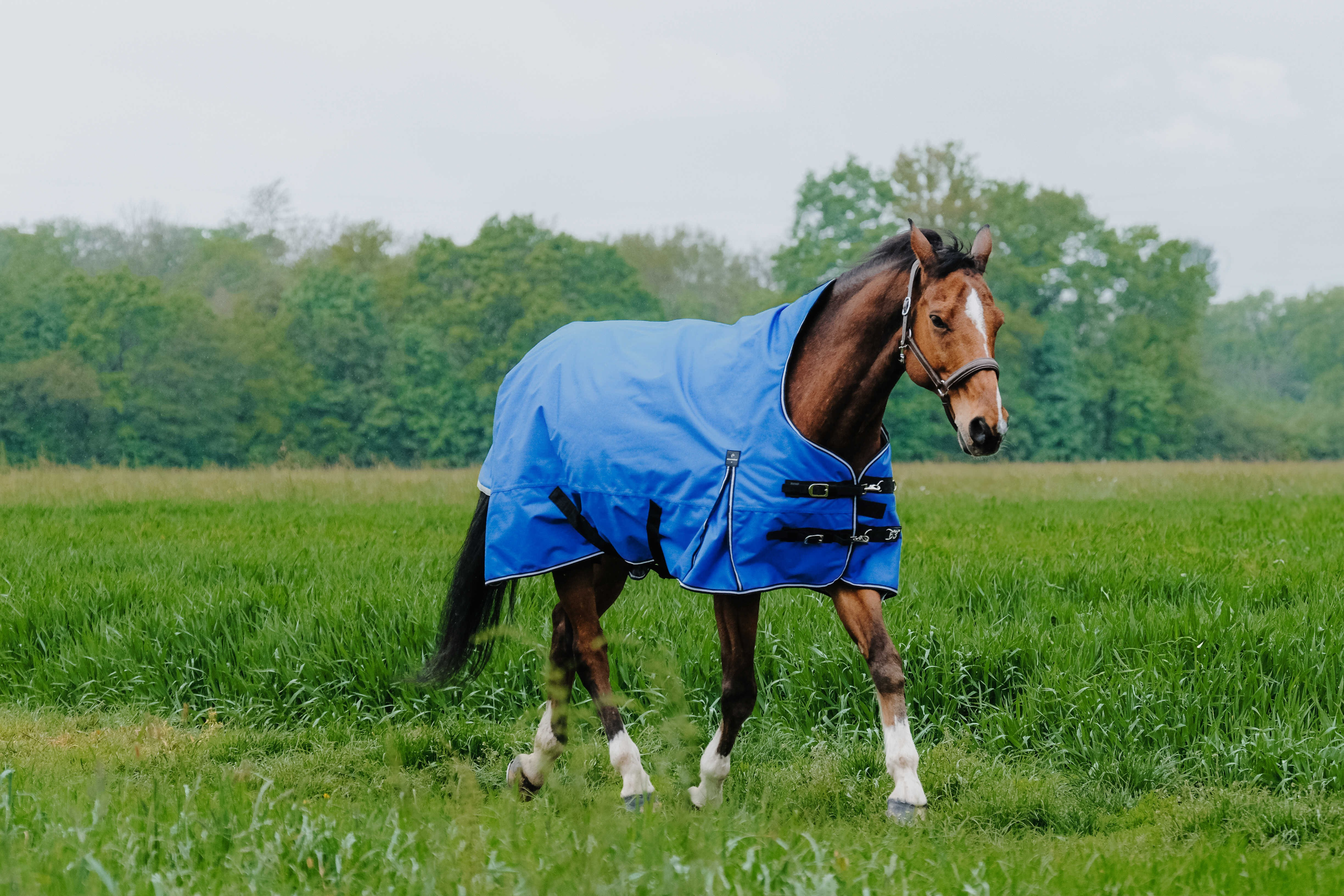 Couverture Equithème Tyrex Aisance 1200D High Neck Bleu roi